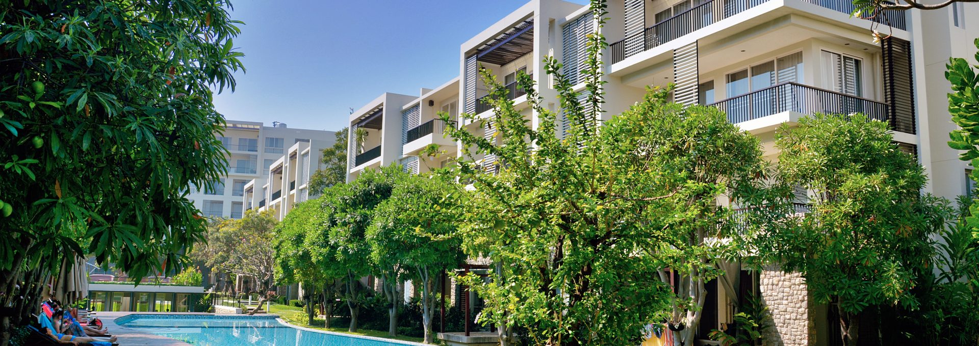 green trees near swimming pool during daytime