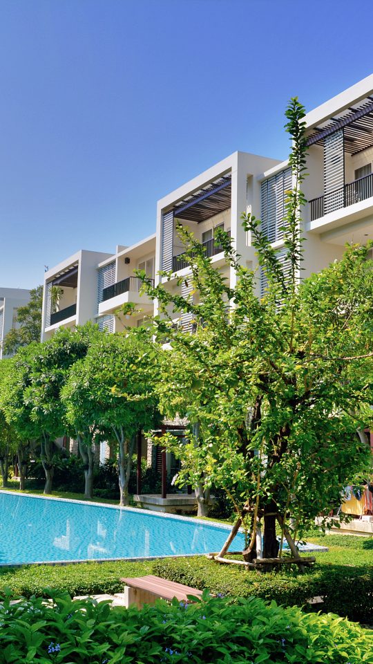 green trees near swimming pool during daytime